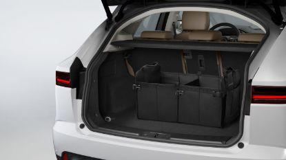 Picture of Jaguar Collapsible Storage Box for Cargo