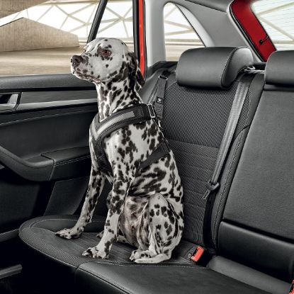 Picture of Skoda Dog Safety Belt Medium