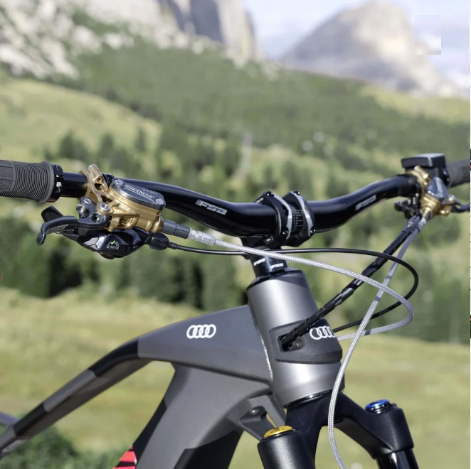 Picture of Audi Electric Mountain Bike