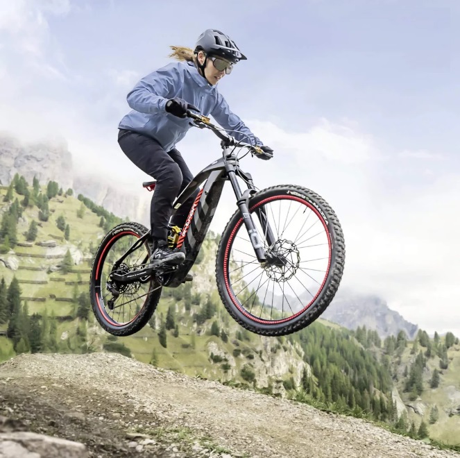 Picture of Audi Electric Mountain Bike