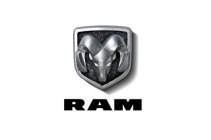 Picture for manufacturer RAM