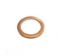 Picture of Oil Drain / Sump Washer for Maserati 16x22x1.5mm