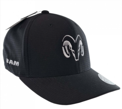 Picture of RAM Flexfit Cap