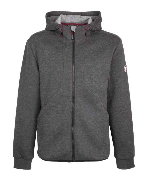 Picture of Jaguar Mens Drivers Hoodie in Grey