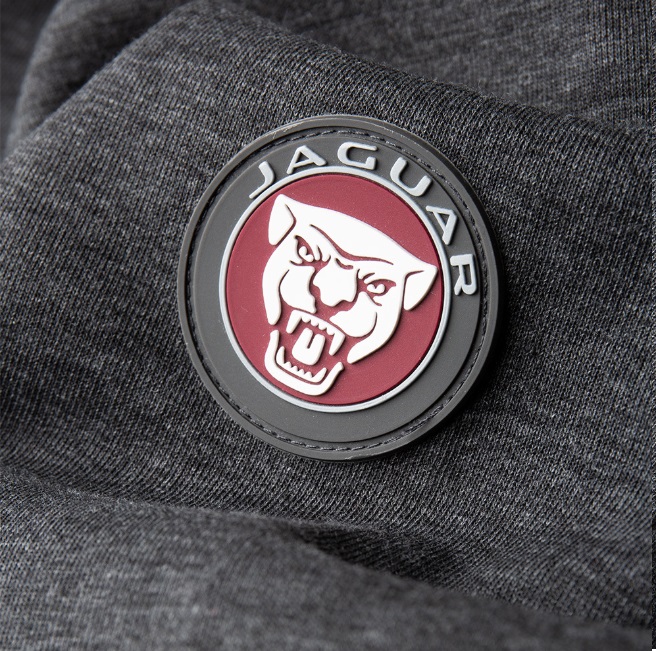 Picture of Jaguar Mens Drivers Hoodie in Grey