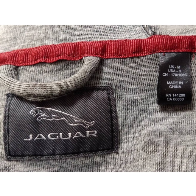 Picture of Jaguar Mens Drivers Hoodie in Grey