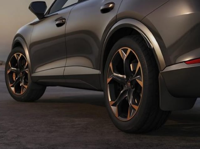 Picture of Mudflaps Rear Cupra Formentor