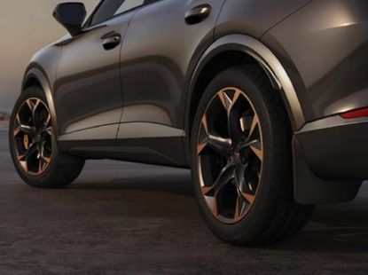 Picture of Mudflaps Rear Cupra Formentor