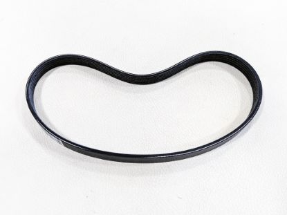 Picture of Water Pump Belt Maserati Quattroporte/GranTurismo