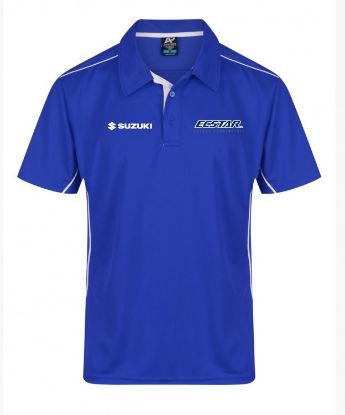 Picture of Suzuki Ecstar Polo